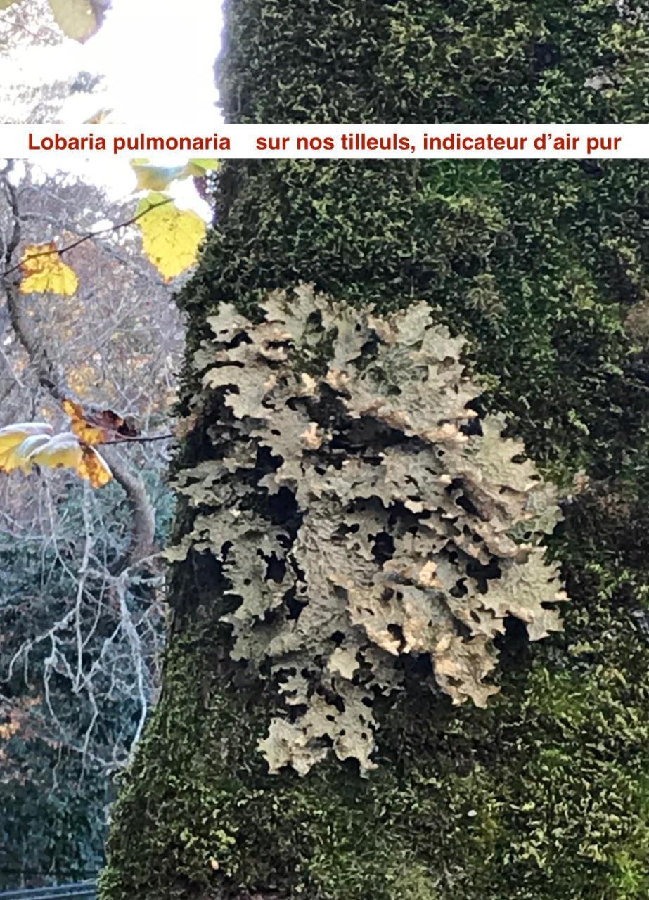 فندق Le فيزافونا المظهر الخارجي الصورة